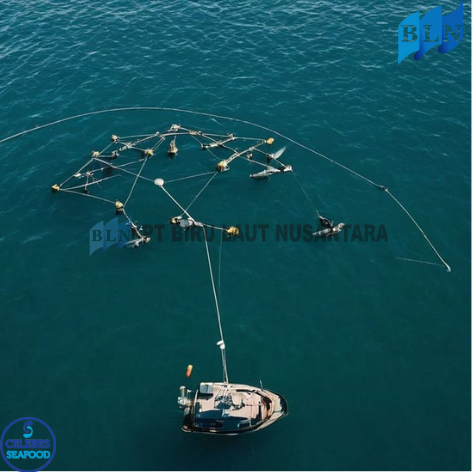 Eco-Friendly Innovations in the Fishing Industry